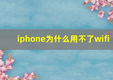 iphone为什么用不了wifi