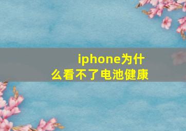 iphone为什么看不了电池健康