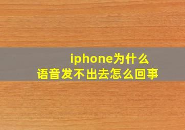 iphone为什么语音发不出去怎么回事