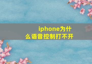 iphone为什么语音控制打不开