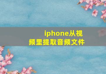 iphone从视频里提取音频文件