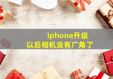 iphone升级以后相机没有广角了