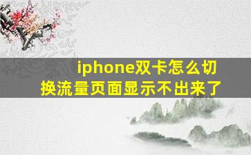 iphone双卡怎么切换流量页面显示不出来了