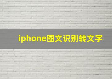 iphone图文识别转文字