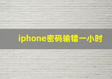 iphone密码输错一小时