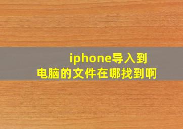 iphone导入到电脑的文件在哪找到啊