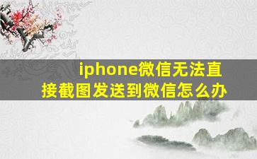 iphone微信无法直接截图发送到微信怎么办