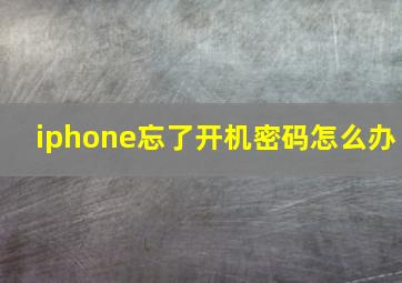 iphone忘了开机密码怎么办