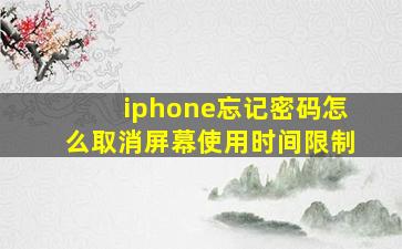 iphone忘记密码怎么取消屏幕使用时间限制