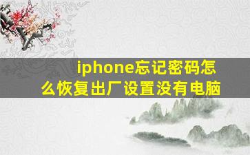 iphone忘记密码怎么恢复出厂设置没有电脑