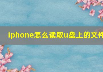 iphone怎么读取u盘上的文件