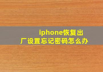 iphone恢复出厂设置忘记密码怎么办