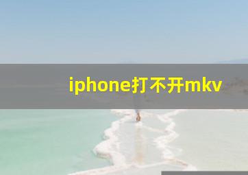 iphone打不开mkv