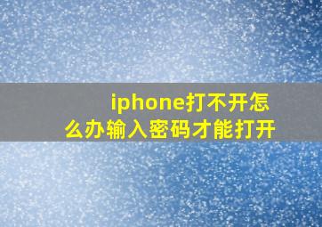 iphone打不开怎么办输入密码才能打开