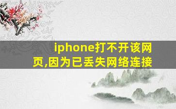 iphone打不开该网页,因为已丢失网络连接