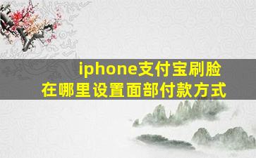 iphone支付宝刷脸在哪里设置面部付款方式