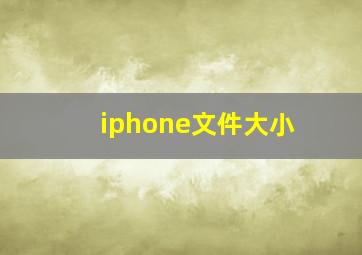 iphone文件大小