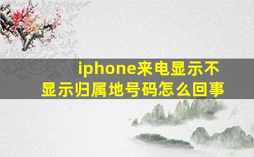 iphone来电显示不显示归属地号码怎么回事