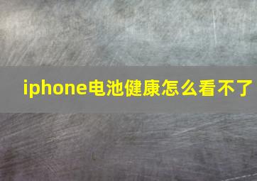 iphone电池健康怎么看不了