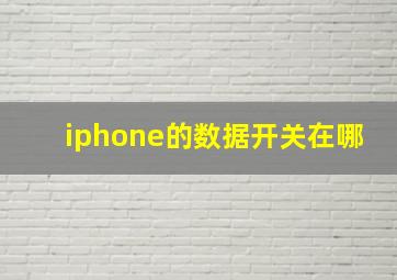 iphone的数据开关在哪