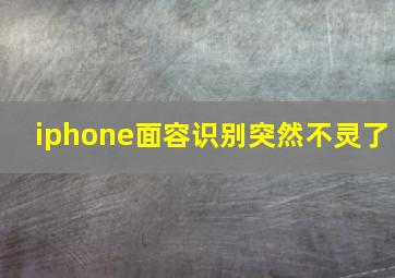 iphone面容识别突然不灵了