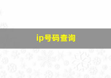 ip号码查询