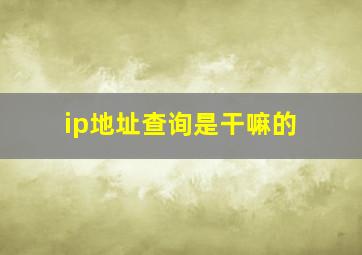 ip地址查询是干嘛的