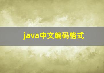 java中文编码格式