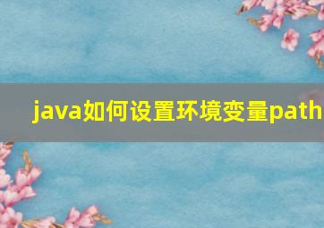 java如何设置环境变量path