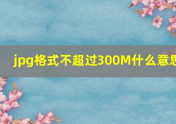 jpg格式不超过300M什么意思