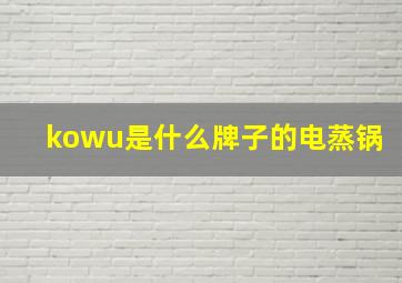 kowu是什么牌子的电蒸锅