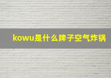 kowu是什么牌子空气炸锅