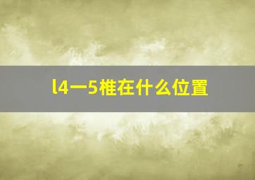 l4一5椎在什么位置