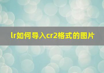 lr如何导入cr2格式的图片