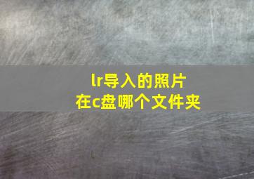 lr导入的照片在c盘哪个文件夹