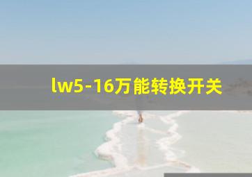 lw5-16万能转换开关