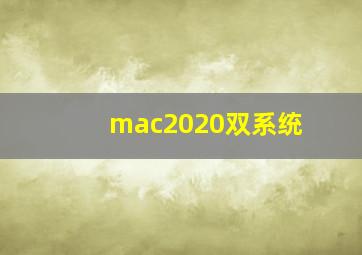 mac2020双系统