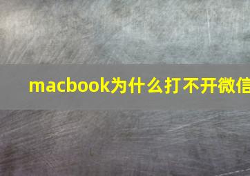 macbook为什么打不开微信