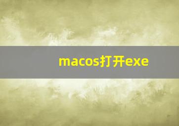 macos打开exe