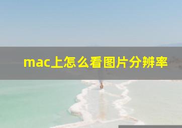 mac上怎么看图片分辨率