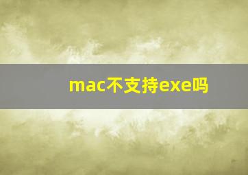 mac不支持exe吗