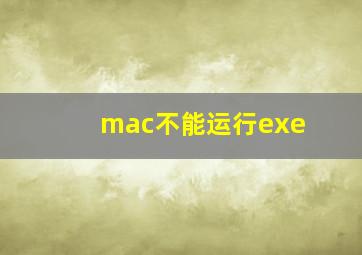 mac不能运行exe