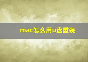 mac怎么用u盘重装