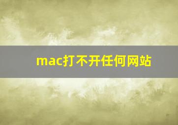 mac打不开任何网站