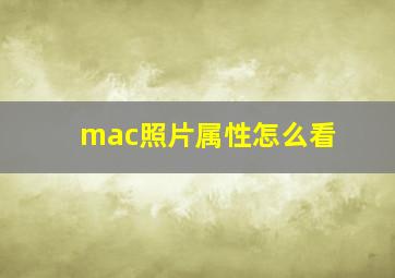 mac照片属性怎么看