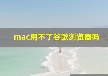 mac用不了谷歌浏览器吗