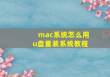 mac系统怎么用u盘重装系统教程