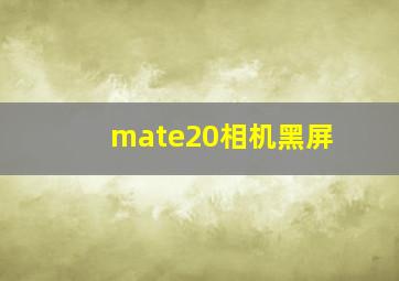 mate20相机黑屏