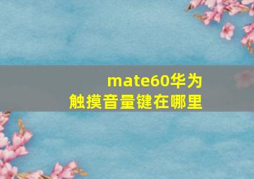 mate60华为触摸音量键在哪里