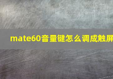 mate60音量键怎么调成触屏